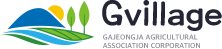 Gvillage